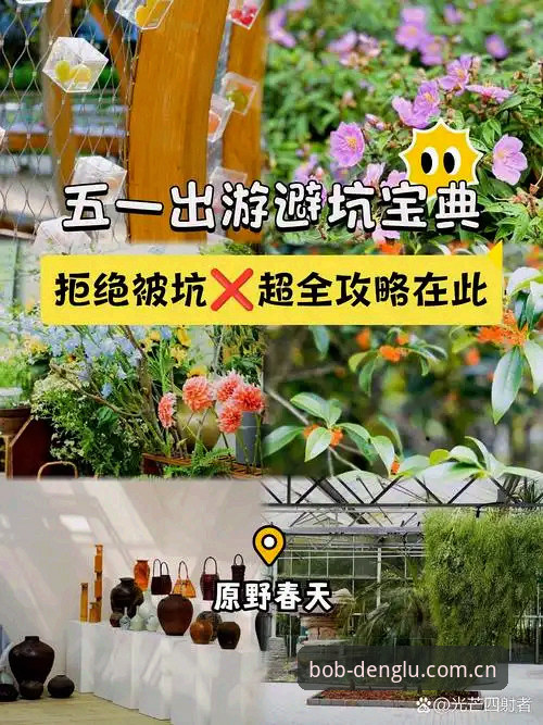 bob半岛平台入口选择避坑指南：从真实案例看哪个登陆入口更靠谱